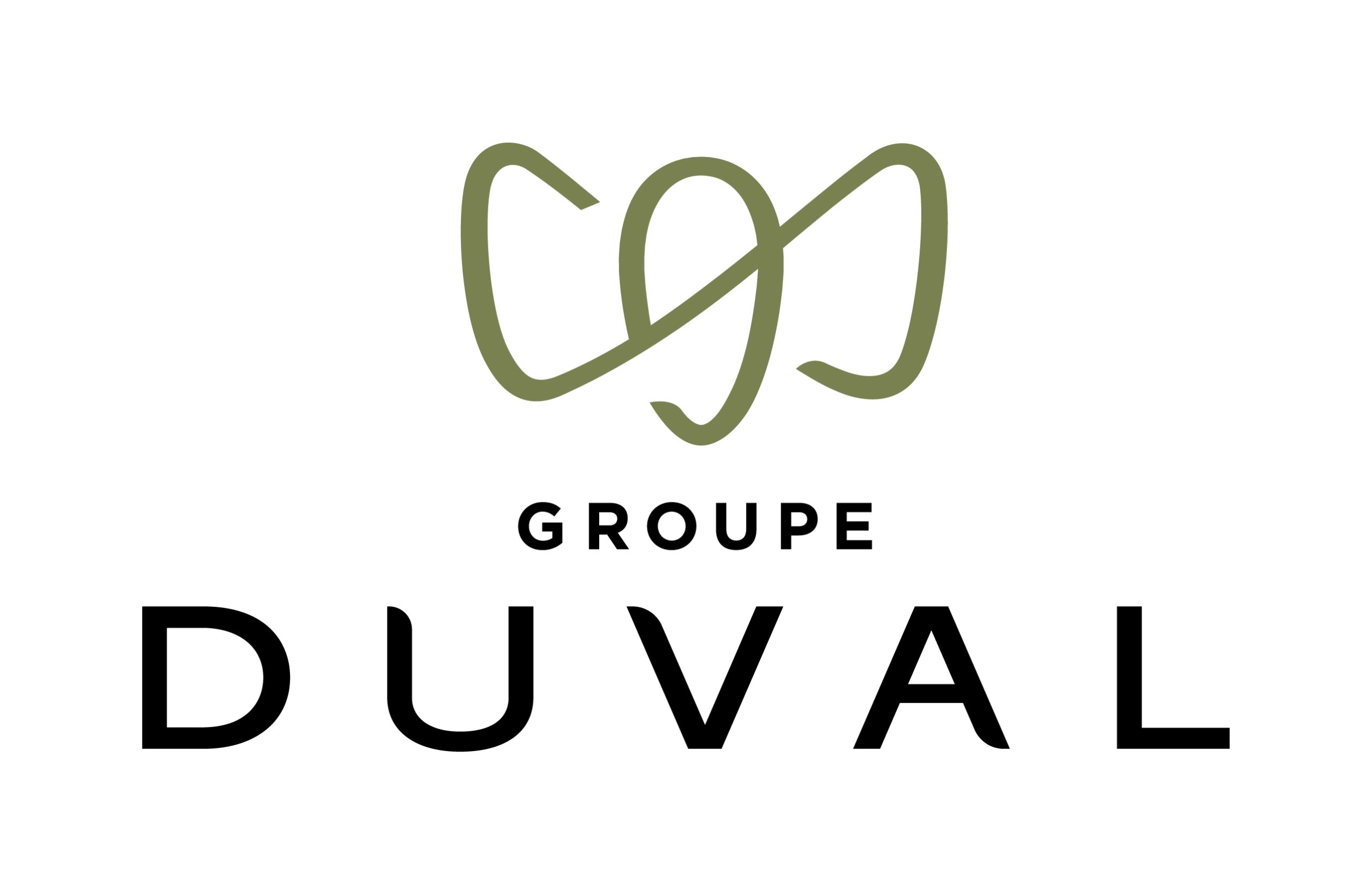 Logo-Groupe-Duval-scaled